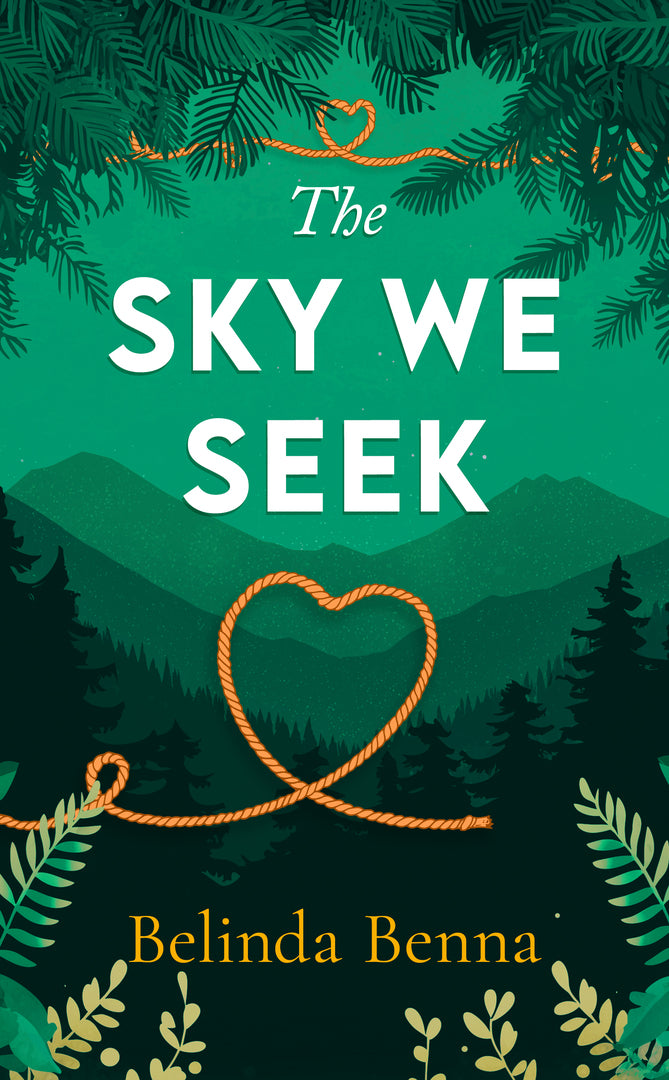 Cover image for The Sky We Seek ISBN 9781036709297